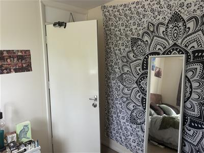 Picture 7